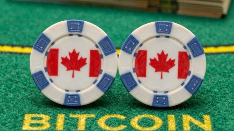 Mobile Bitcoin Casinos in Canada Offer Secure Gaming Experience