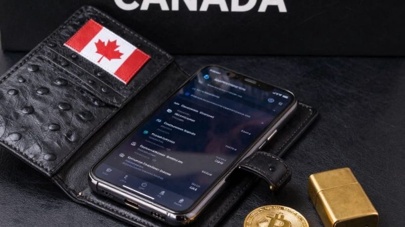 No KYC Decentralized Casino with Live Games in Canada A New Era of Gaming