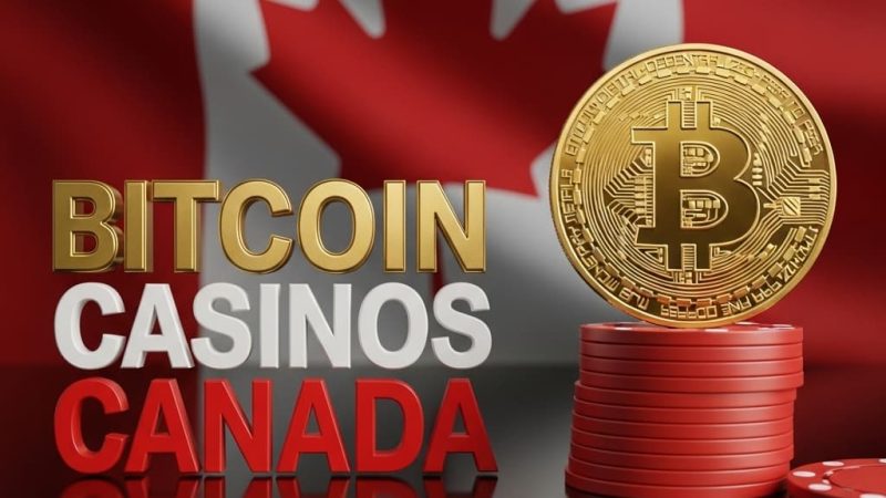 Verified Crypto Casino in Canada with Weekly Cashback Offers