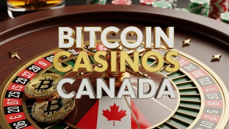User Friendly Crypto Betting Casino with Welcome Bonus in Canada A Comprehensive Guide